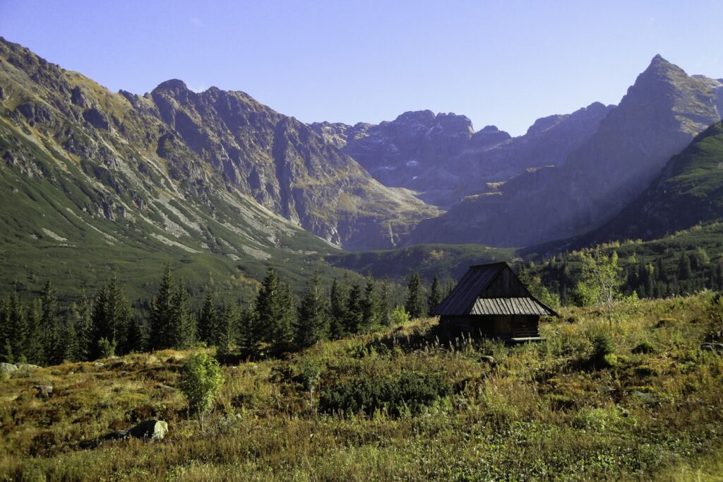 Tatry w okolicy Bukowiny Tatrzańskiej